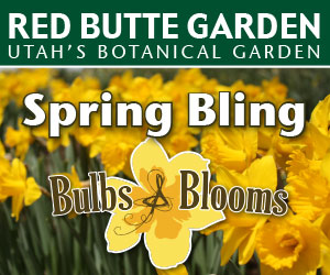 Red Butte Gardens Bulbs & Blooms