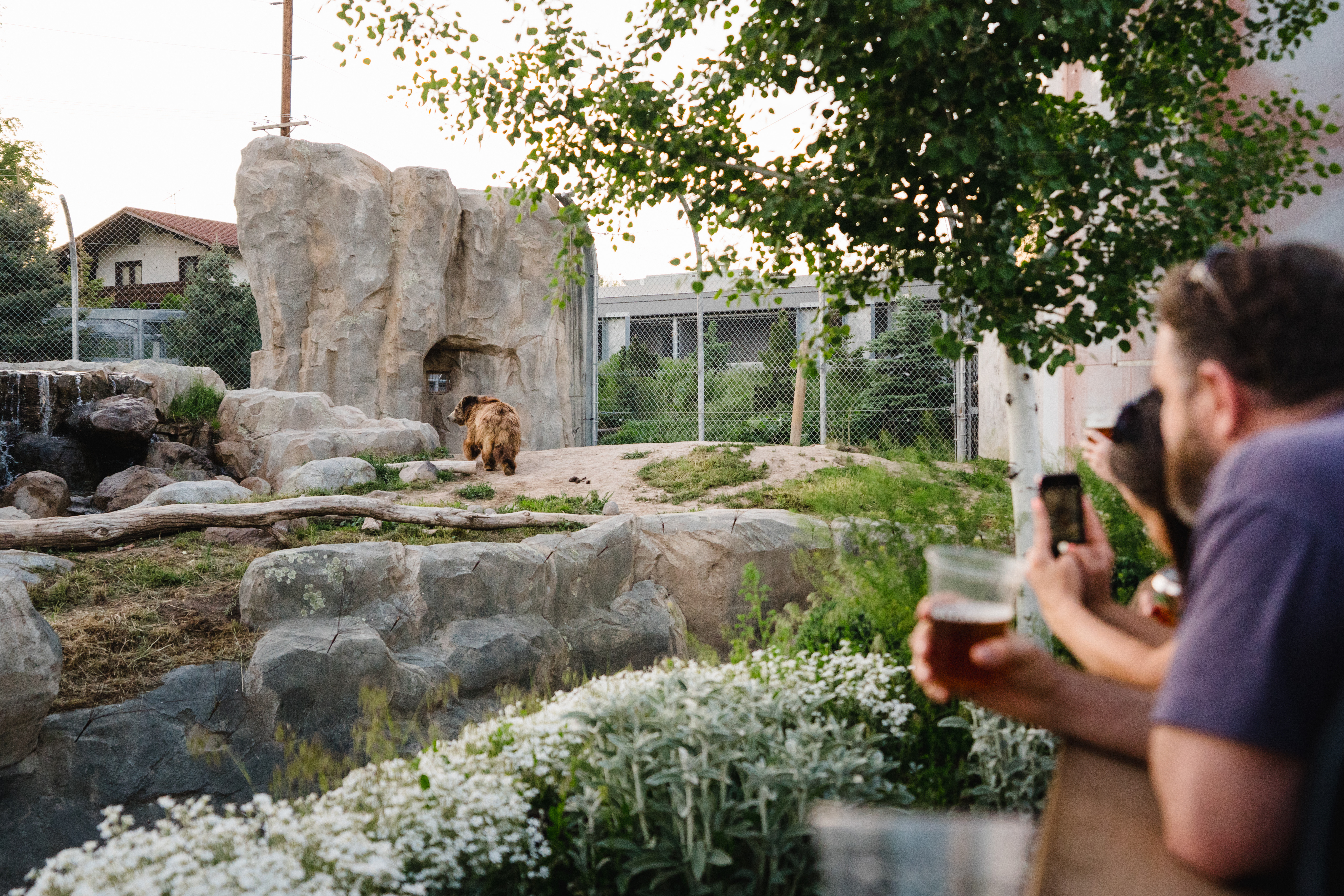 Utah's Hogle Zoo Brew